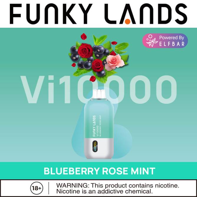 RLF6B163 ELFBAR Funky Lands Vape jetable Vi10000 bouffées - ELF BAR France price myrtille rose menthe